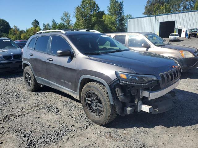 1C4PJMDN2KD179873 - 2019 JEEP CHEROKEE LIMITED BLACK photo 4