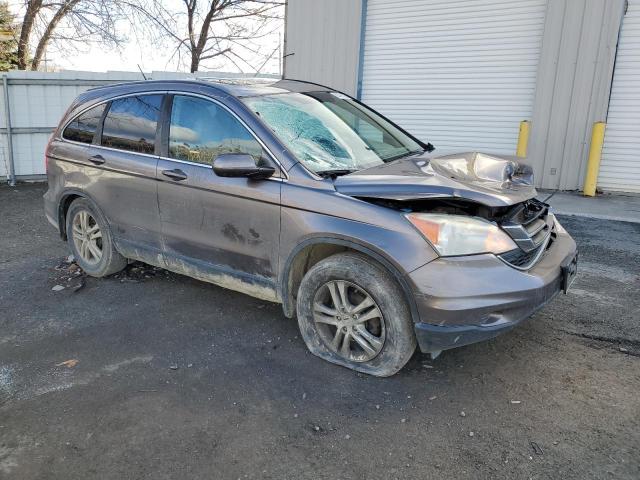 5J6RE4H75AL095005 - 2010 HONDA CR-V EXL GRAY photo 4