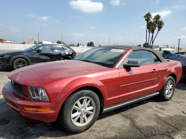 2005 FORD MUSTANG, 