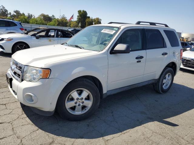 2011 FORD ESCAPE XLT, 