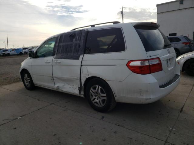 5FNRL38405B066516 - 2005 HONDA ODYSSEY EX WHITE photo 2