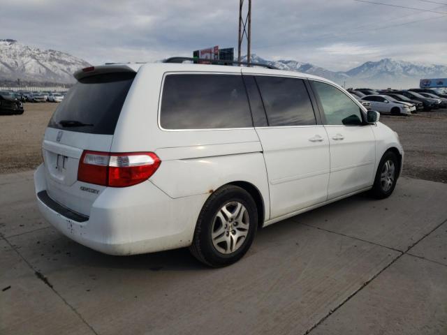 5FNRL38405B066516 - 2005 HONDA ODYSSEY EX WHITE photo 3