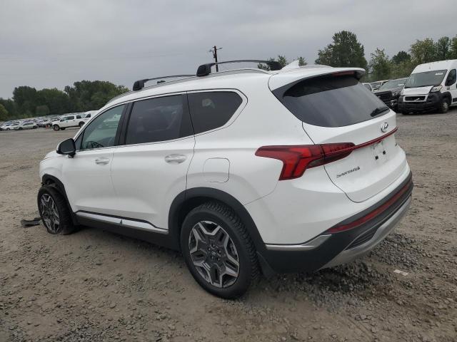 KM8S6DA24PU091156 - 2023 HYUNDAI SANTA FE SEL WHITE photo 2