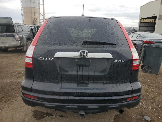 5J6RE4H78AL026700 - 2010 HONDA CR-V EXL BLACK photo 6