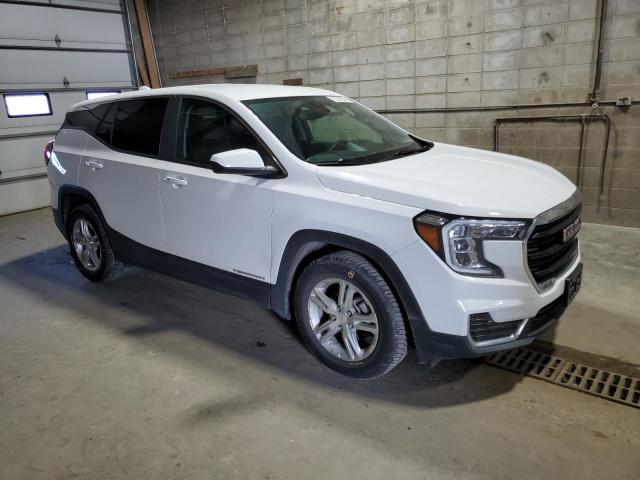 3GKALMEG1PL195147 - 2023 GMC TERRAIN SLE 白色 照片 4