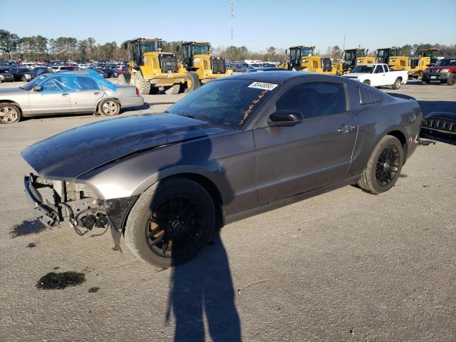 1ZVBP8AM6E5298291 - 2014 FORD MUSTANG GRAY photo 1