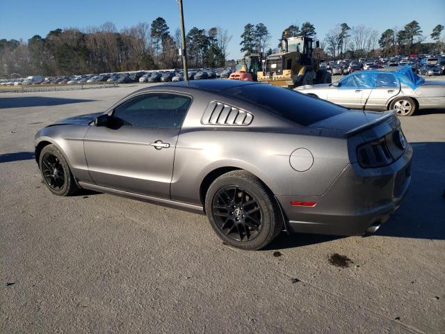 1ZVBP8AM6E5298291 - 2014 FORD MUSTANG GRAY photo 2