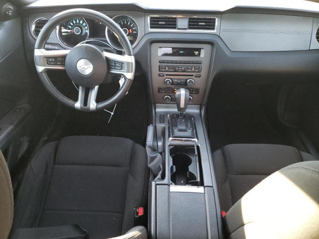1ZVBP8AM6E5298291 - 2014 FORD MUSTANG GRAY photo 8