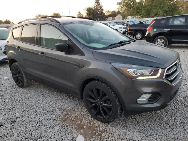 1FMCU0GD2HUE20174 - 2017 FORD ESCAPE SE Grau Foto 4