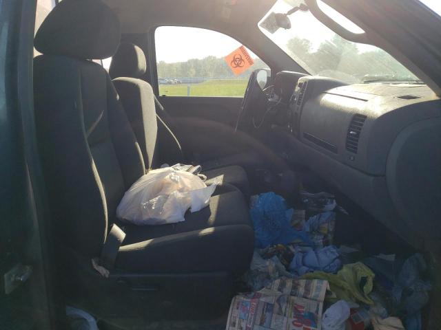 1GCNCPEX9DZ183623 - 2013 CHEVROLET SILVERADO C1500 TEAL photo 10