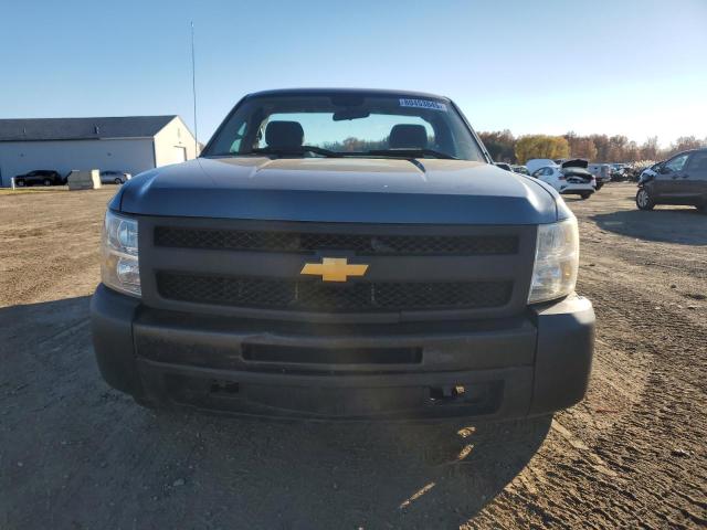 1GCNCPEX9DZ183623 - 2013 CHEVROLET SILVERADO C1500 TEAL photo 5