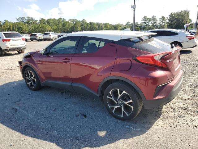 NMTKHMBX5JR024908 - 2018 TOYOTA C-HR XLE Rouge photo 2