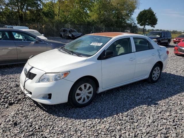 2009 TOYOTA COROLLA BASE, null