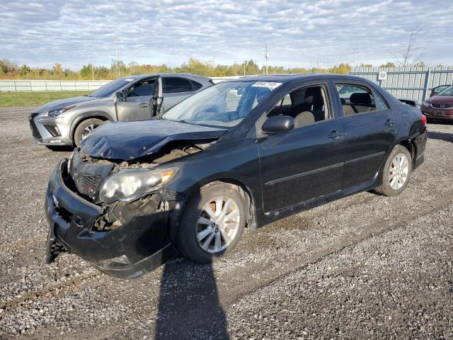 2010 TOYOTA COROLLA BASE, null