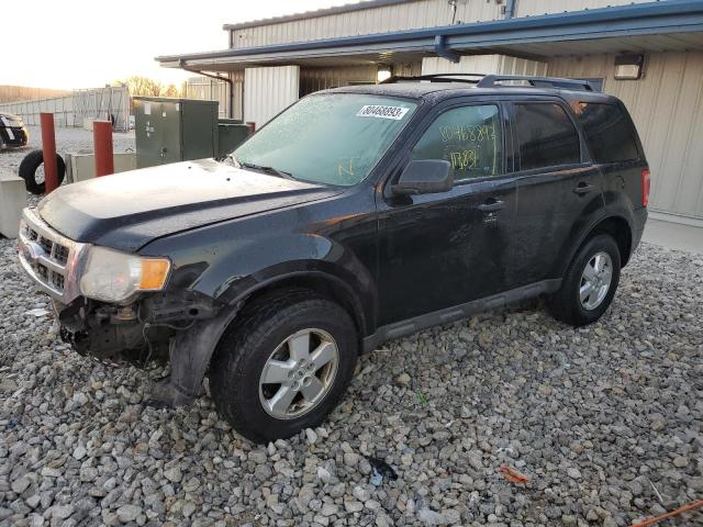 2009 FORD ESCAPE XLT, 