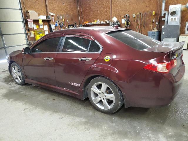 JH4CU2F63BC010031 - 2011 ACURA TSX PURPLE photo 2