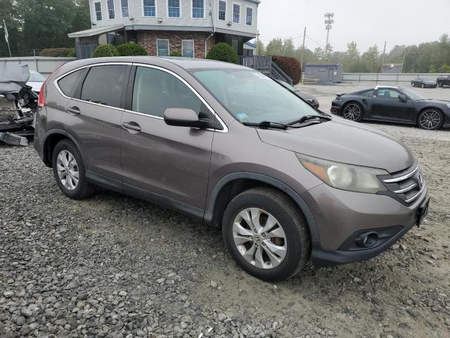 5J6RM4H51DL048558 - 2013 HONDA CR-V EX თაფლისფერი ფოტო 4