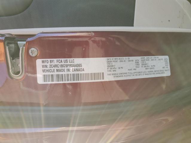 2C4RC1BG9PR564065 - 2023 CHRYSLER PACIFICA TOURING L Բորդո լուսանկար 14