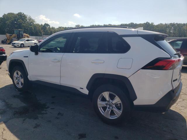 2T3LWRFV8LW067156 - 2020 TOYOTA RAV4 LE თეთრი ფოტო 2