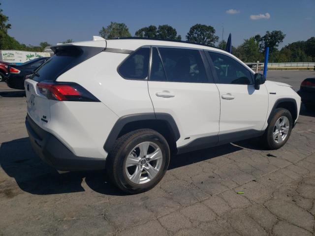 2T3LWRFV8LW067156 - 2020 TOYOTA RAV4 LE თეთრი ფოტო 3