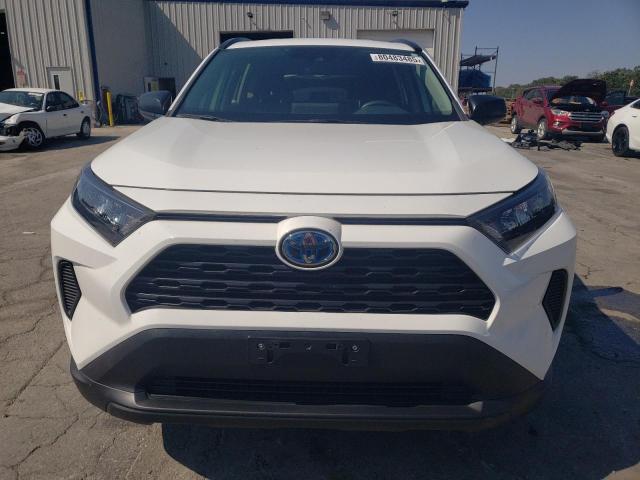 2T3LWRFV8LW067156 - 2020 TOYOTA RAV4 LE თეთრი ფოტო 5