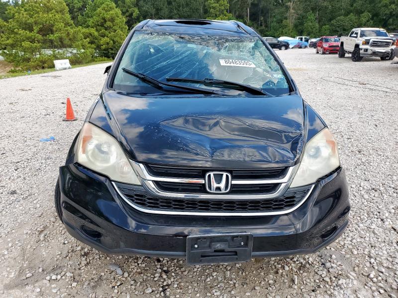 5J6RE3H79AL003484 - 2010 HONDA CR-V EXL BLACK photo 5