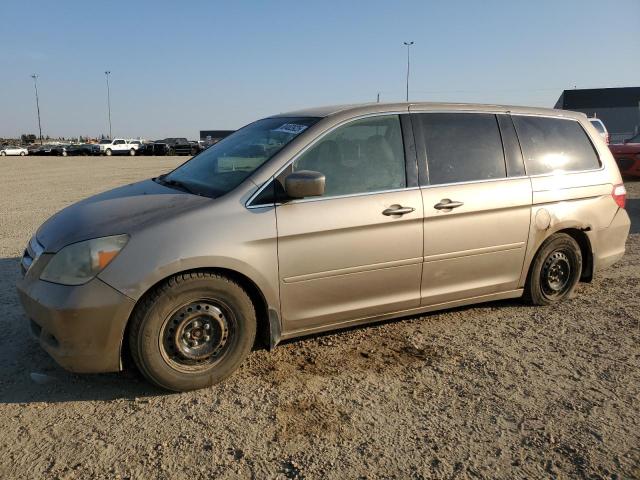 2005 HONDA ODYSSEY EXL, 
