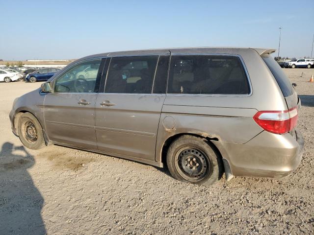 5FNRL38645B505167 - 2005 HONDA ODYSSEY EXL BROWN photo 2