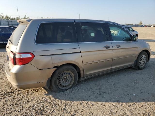 5FNRL38645B505167 - 2005 HONDA ODYSSEY EXL BROWN photo 3