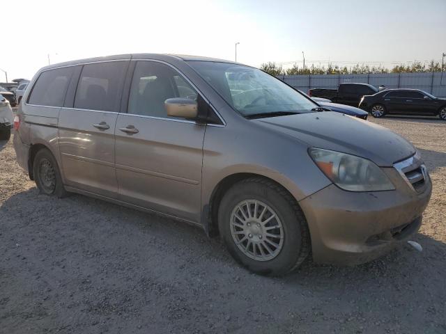 5FNRL38645B505167 - 2005 HONDA ODYSSEY EXL BROWN photo 4