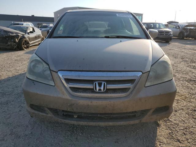 5FNRL38645B505167 - 2005 HONDA ODYSSEY EXL BROWN photo 5