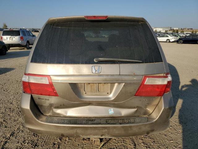 5FNRL38645B505167 - 2005 HONDA ODYSSEY EXL BROWN photo 6