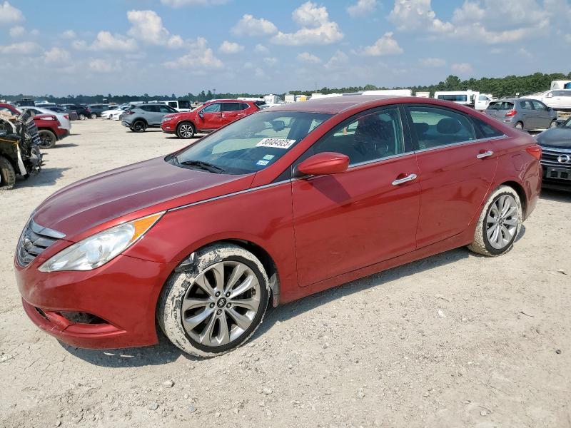2013 HYUNDAI SONATA SE, 