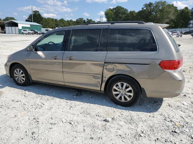 5FNRL38639B406328 - 2009 HONDA ODYSSEY EXL GOLD photo 2