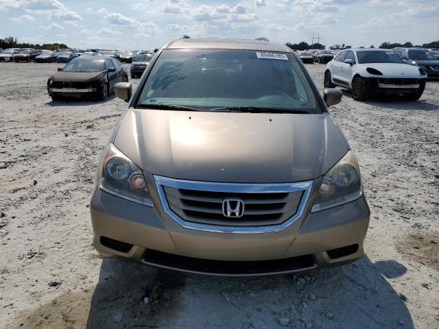 5FNRL38639B406328 - 2009 HONDA ODYSSEY EXL GOLD photo 5