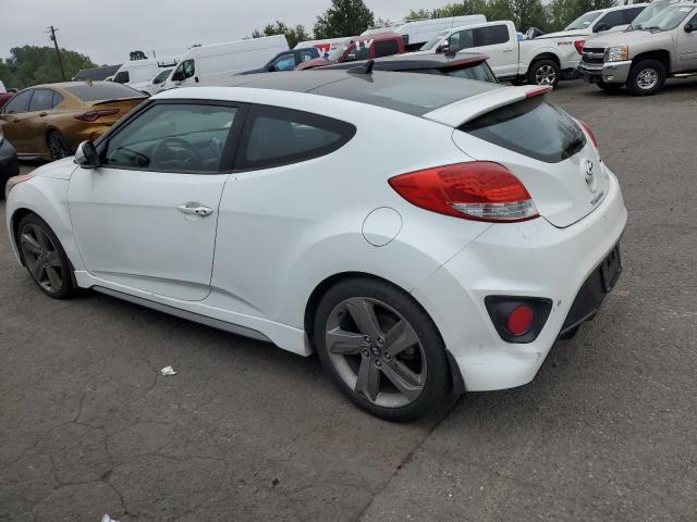 KMHTC6AE5EU210025 - 2014 HYUNDAI VELOSTER TURBO Ağ foto 2