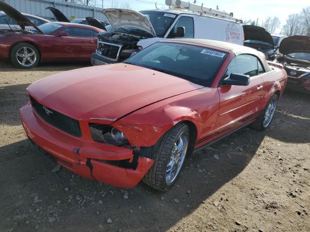 1ZVFT84N165202005 - 2006 FORD MUSTANG RED photo 1
