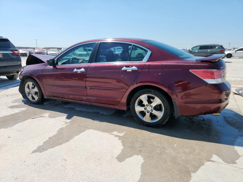 1HGCP3F72CA040191 - 2012 HONDA ACCORD EX BURGUNDY photo 2