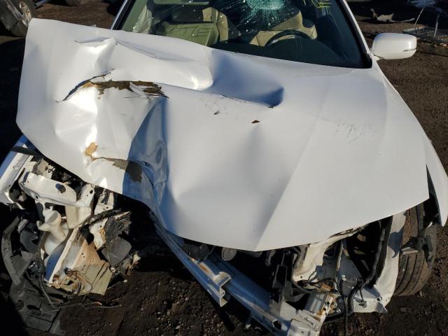 1HGCT1B83EA008707 - 2014 HONDA ACCORD EXL WHITE photo 11