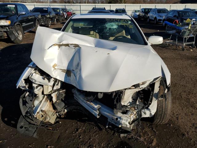 1HGCT1B83EA008707 - 2014 HONDA ACCORD EXL WHITE photo 5