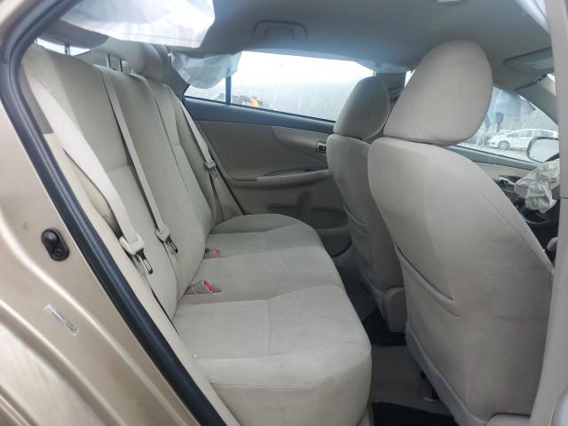 1NXBU4EE8AZ334596 - 2010 TOYOTA COROLLA BASE 金色 照片 10