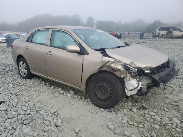 1NXBU4EE8AZ334596 - 2010 TOYOTA COROLLA BASE 金色 照片 4