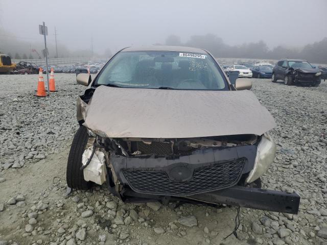 1NXBU4EE8AZ334596 - 2010 TOYOTA COROLLA BASE 金色 照片 5