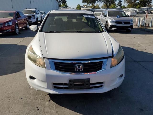 5KBCP3F85AB015752 - 2010 HONDA ACCORD EXL WHITE photo 5