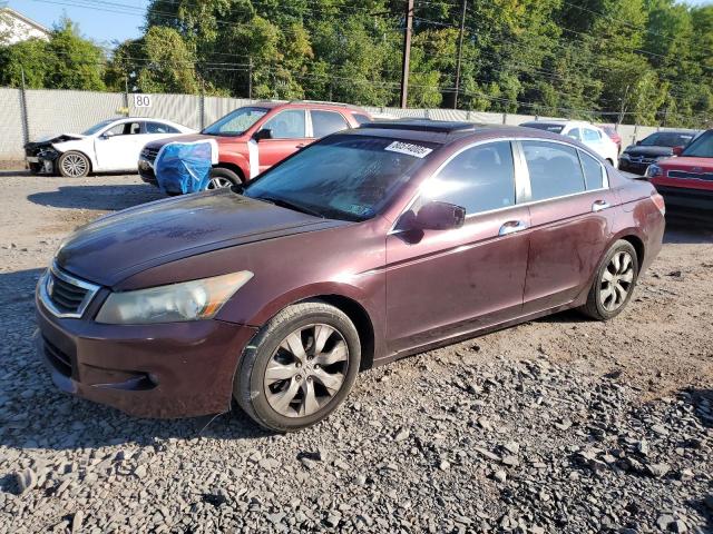 2010 HONDA ACCORD EXL, 