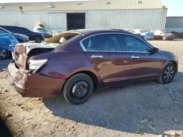5KBCP3F89AB017925 - 2010 HONDA ACCORD EXL BURGUNDY photo 3