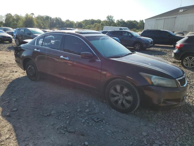 5KBCP3F89AB017925 - 2010 HONDA ACCORD EXL BURGUNDY photo 4