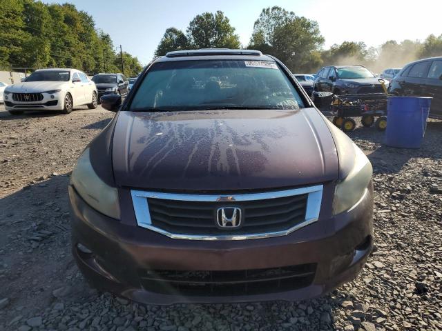 5KBCP3F89AB017925 - 2010 HONDA ACCORD EXL BURGUNDY photo 5