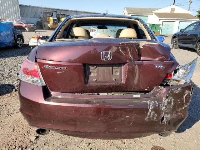 5KBCP3F89AB017925 - 2010 HONDA ACCORD EXL BURGUNDY photo 6