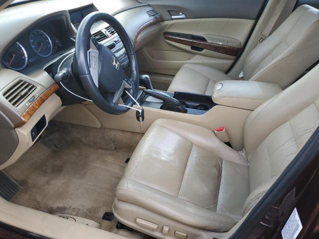 5KBCP3F89AB017925 - 2010 HONDA ACCORD EXL BURGUNDY photo 7